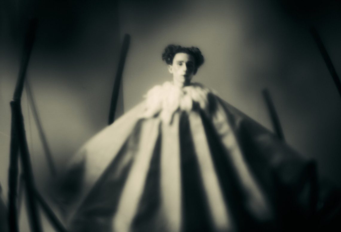 Ein Foto aus dem Projekt "of moths and butterflies" von Dave Honegger.